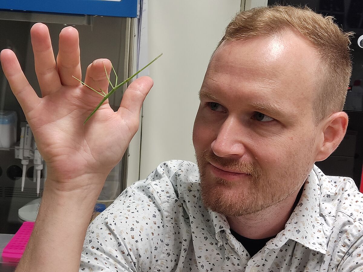 Bild von Alex Brandt mit einer Stabschrecke auf der Hand